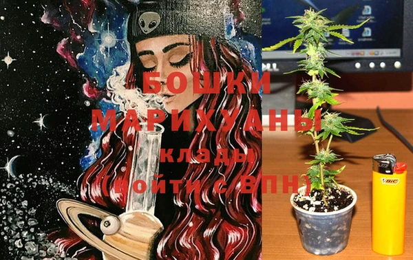 MESCALINE Аркадак