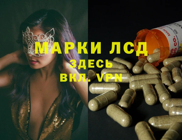 MESCALINE Аркадак