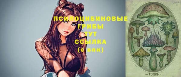 прущая мука Армянск