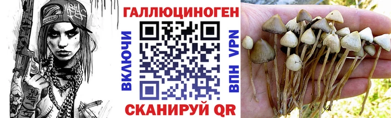Галлюциногенные грибы Psilocybine cubensis  KRAKEN как зайти  Инта  что такое наркотик 